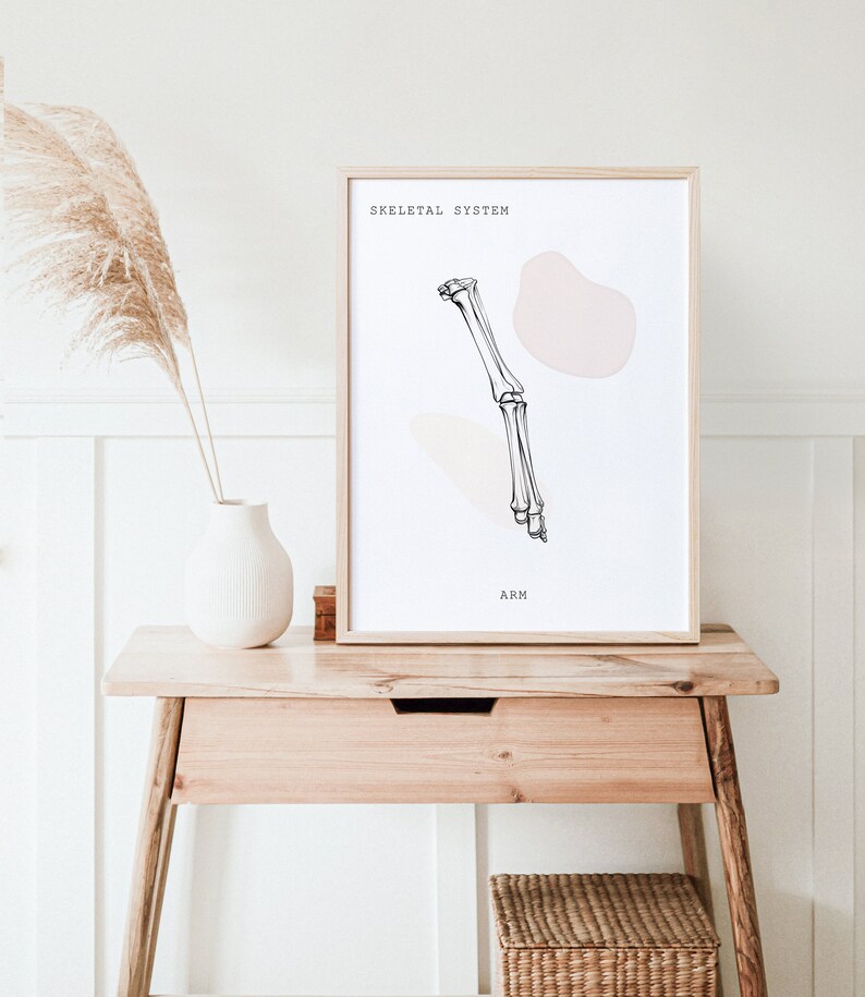Arm Anatomy, Anatomy Printable, Anatomy Line Art, Medical Art, Clinic ...