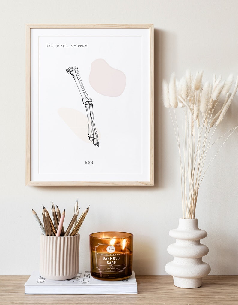 Arm Anatomy, Anatomy Printable, Anatomy Line Art, Medical Art, Clinic ...