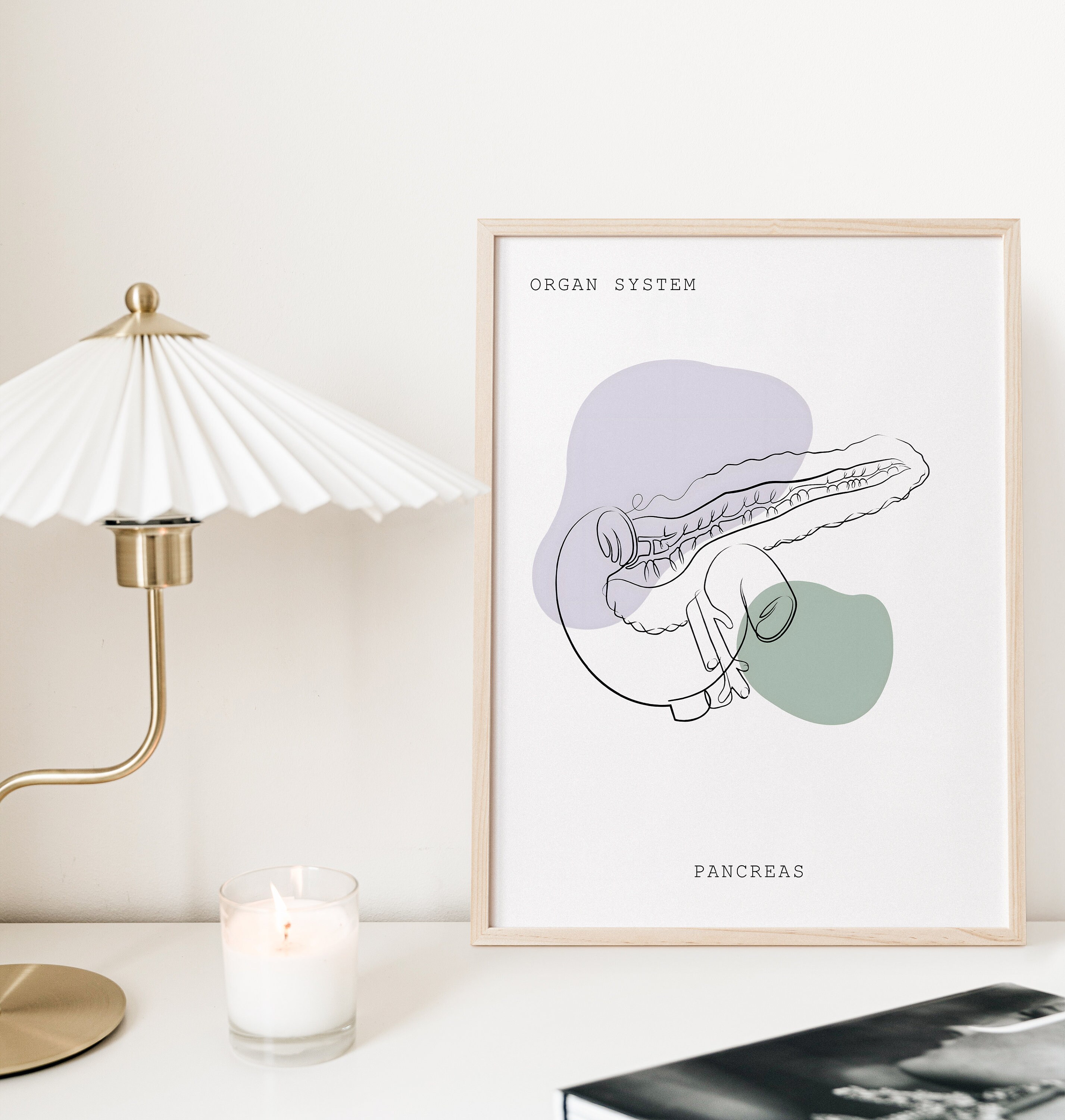 Pancreas Anatomy, Anatomy, Anatomy Printable, Anatomy Line Art, Medical ...