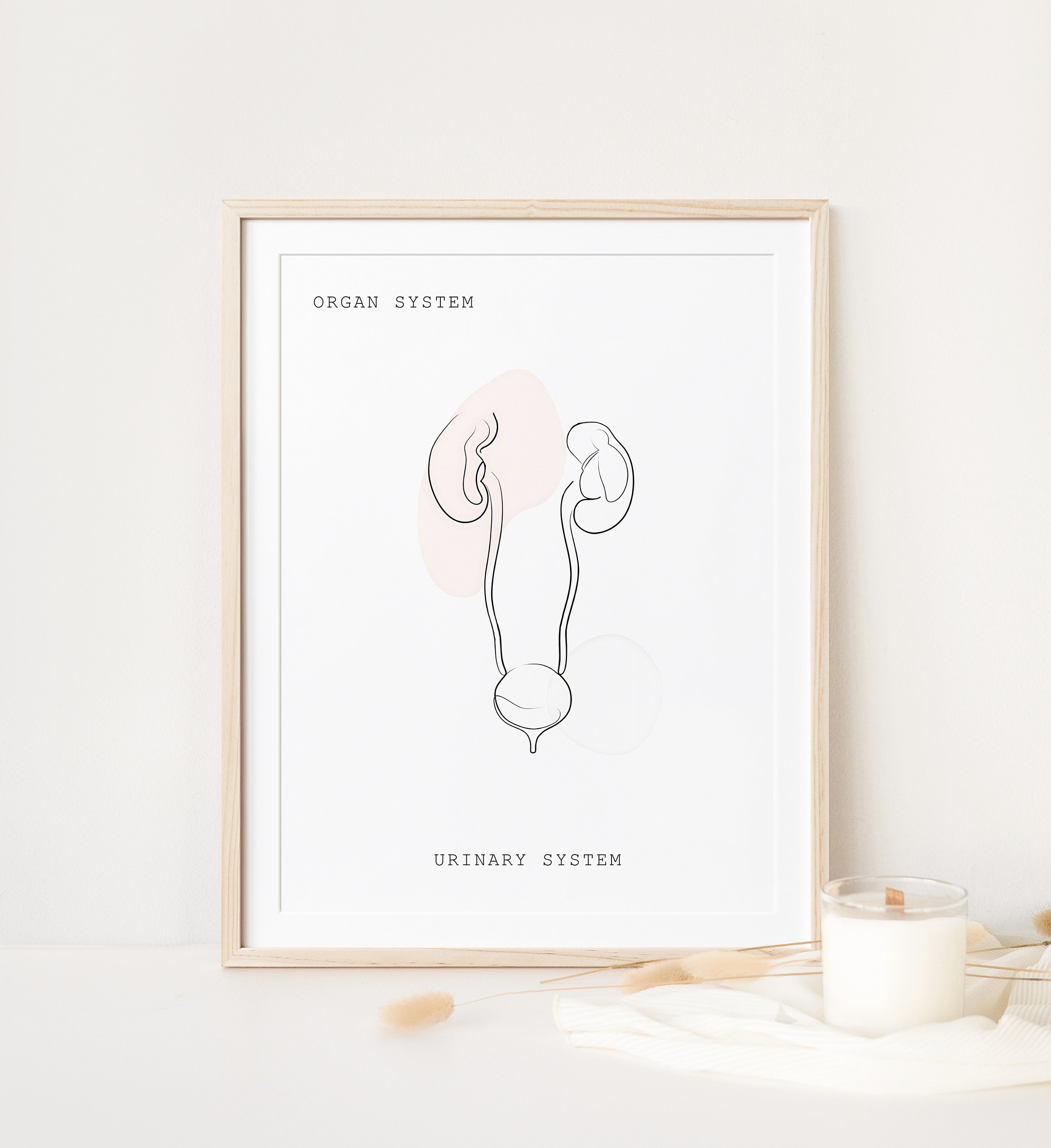 Buy Urinary System Anatomy, Anatomy, Anatomy Printable, Anatomy Line ...