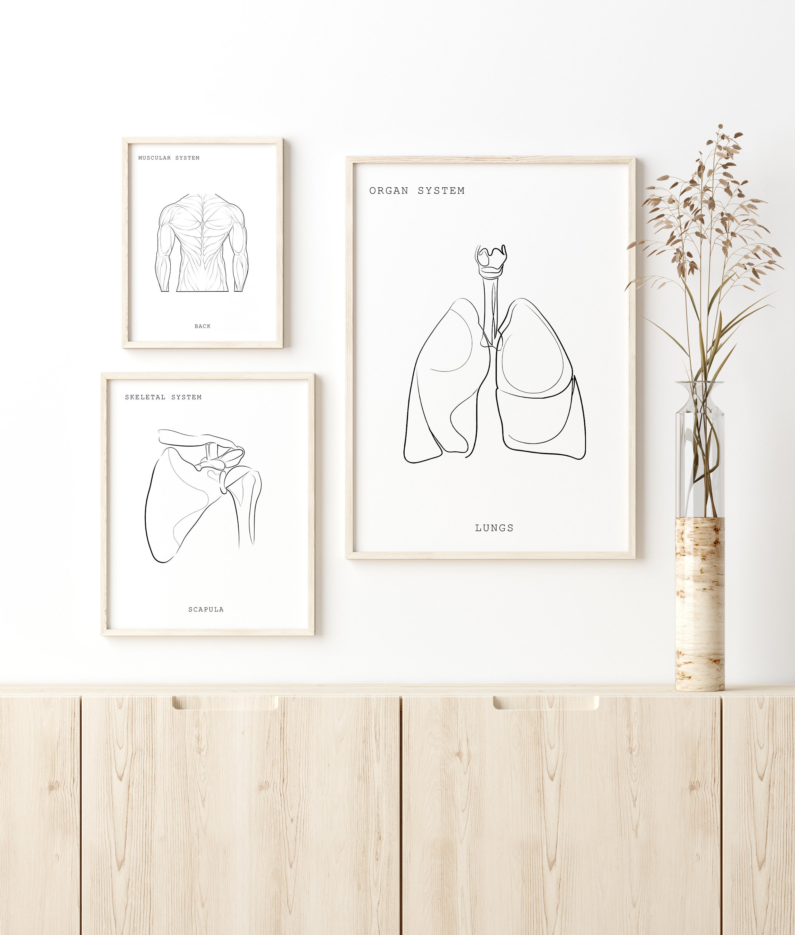 Anatomy Set, Anatomy Printable, Anatomy Wall Art, Medical Art, Clinic ...