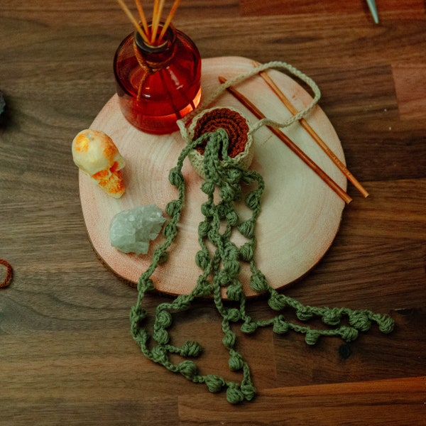 Hanging string of pearls plant | Senecio rowleyanus | Macrame | Crochet plants | Potted Plant