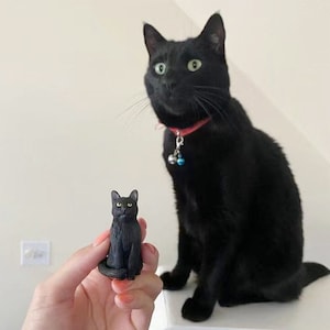 personalized custom cat wedding cake topper ,cat Figurines，cats birthday，Pet CakeTopper，Pets Birthday，cat caketopper , Anniversary pet