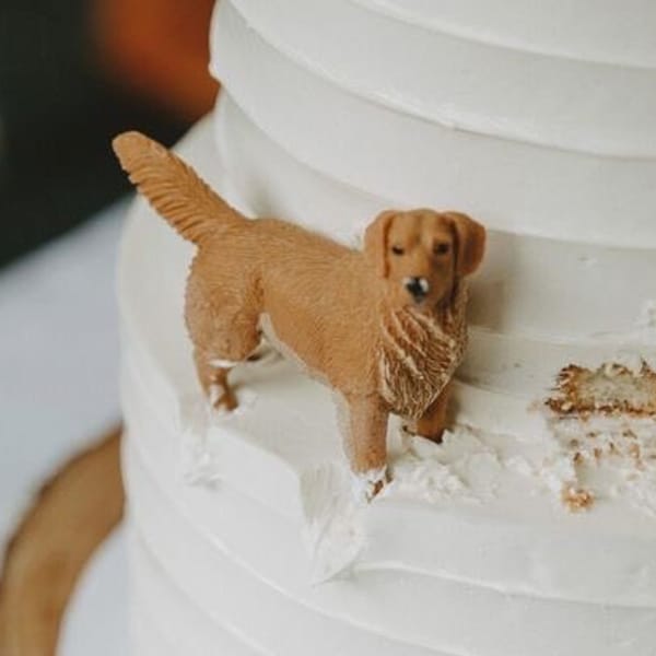 Personalized custom pets Pets wedding cake topper, Dog cake topper, Wedding cake topper , Pets birthday ,wedding cake topper with dog, best