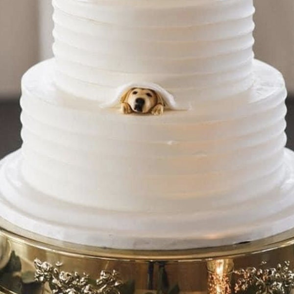 Personalisierter Hochzeitstortenaufsatz für Hunde, Haustier-Kuchenaufsatz, Geburtstagskuchen für Haustiere, Katzen-Kuchenaufsatz, Jubiläums-Haustier, Hundefiguren