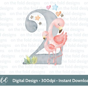 Flamant rose, 2e anniversaire, deux, clipart, png, téléchargement immédiat, sublimation, artisanat, anniversaire de filles, conception de cartes, conception girly rose, numéro 2