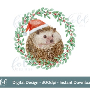 Hérisson, guirlande de Noël bonnet de Noel clipart Téléchargement instantané fichier sublimation de fond transparent, création de cartes, gobelets, toboggans