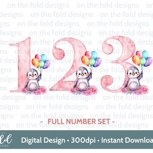 Conjunto completo de diseños de flores y globos de cumpleaños con números de pingüinos, diseño de imágenes prediseñadas PNG, descarga instantánea de imágenes prediseñadas transparentes, sublimación