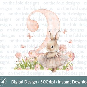 2e verjaardag Bunny ballerina twee clipart PNG Instant Download voor sublimatie Crafting UVDTF-printen, kaarten, babyvestjes, slabbetjes, uitnodigingen