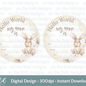 Nouveau bébé Clipart lapin design neutre faire-part de naissance impression par sublimation UVDTF DTG PNG graphique nouveauté détails carte mignonne gilet bébé