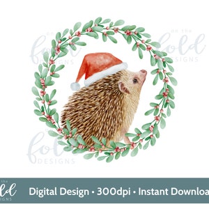 Hérisson, sublimation de fond transparent clipart Santa Hat Christmas clipart, sublimation de fond transparent, création de cartes, gobelets, toboggans aquatiques
