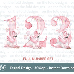 Flamingo, Zahlenset, Geburtstag, Clipart, PNG, sofortiger Download, Sublimation, Basteln, Mädchen Geburtstag, Kartendesign, pinkes girly Design