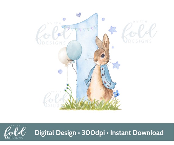 Buy Peter Rabbit Party Supplies Online at Build a Birthday NZ