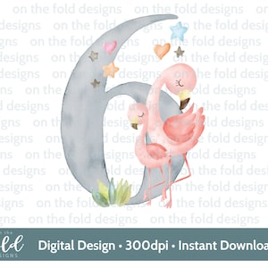 Flamingo, 6e verjaardag, zes, clipart, png, instant download, sublimatie, knutselen, meisjes verjaardagskaart ontwerp, roze girly ontwerp, nummer 6