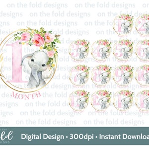 Bebê elefante, marcos, clipart de bebê novo, chá de bebê PNG, 1º ano, download instantâneo, fundo transparente, sublimação, design de decalque