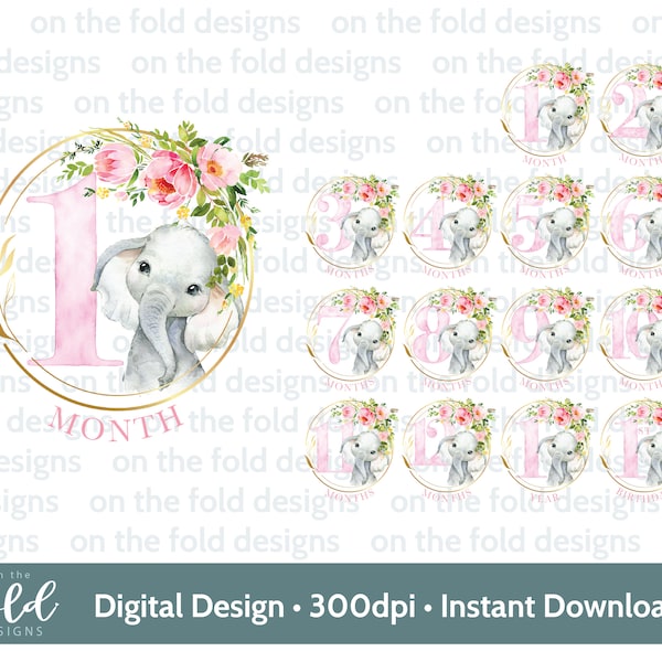 Baby Elephant, Milestones, New Baby Clipart, Baby shower PNG, 1st Year, Instant Download, Transparent Background, Sublimation, Decal Design