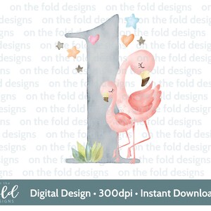 Flamingo, primeiro aniversário, um, clipart, png, download instantâneo, sublimação, artesanato, aniversário de meninas, design de cartão, design feminino rosa, número 1