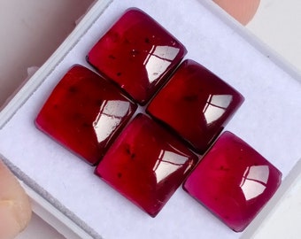 Pierre précieuse grenat rhodolite rose : cabochon carré, lot de 5 pièces (8,1 x 8,1 mm, 14,15 carats)