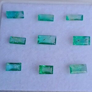 Sambia Smaragd Baguette: 9 Stück grüne facettierte Edelsteine (5x2.6x1.2 MM, 1.00ct)
