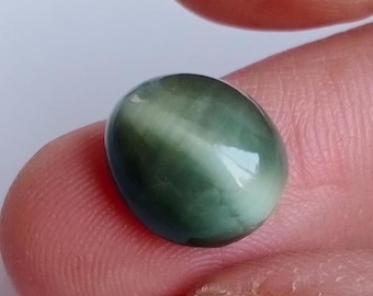 Grünes Katzenauge Edelstein: Ovaler Cabochon, 6.00 ct, 11.6x10.5 x 7 mm