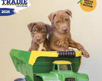 2025 Australian Tradie Calendar Housework Hunk Edition Etsy