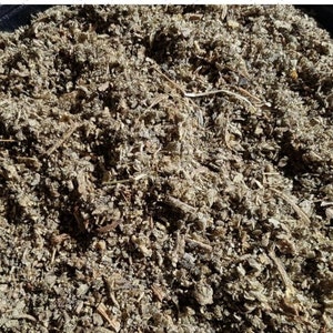 DRIED HERB MULLEIN Verbascum thapsis Herbal Tea - Free Post
