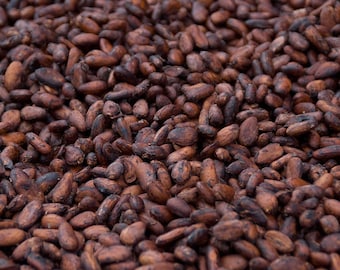 Cacao Beans - ORGANIC WHOLE RAW cacao beans - 100g - 1kg - Free post