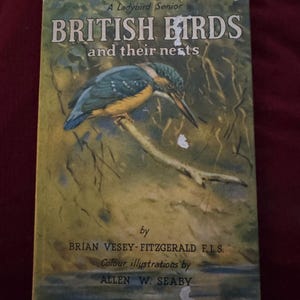 British Birds and Their Nests  Brian Vesey-Fitzgerald, Allen W. Seaby Ladybird First Edition