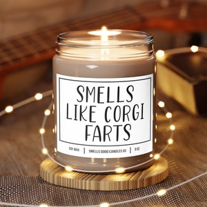 Animal Lovers Party Candles Dog Lover Gifts Funny Candles For Dog Owners Corgi Lovers Soy Candles New Fur Parents Appreciation Candles 1587