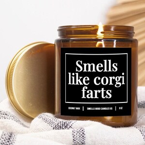 Animal Lovers Party Candles Dog Lover Gifts Funny Candles For Dog Owners Corgi Lovers Soy Candles New Fur Parents Appreciation Candles 1585