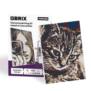 May include: Diamond painting kit featuring a close-up of a cat's face. The kit includes 22,000 crystals and 7 colours. The kit is labelled "Vintage" and "Stretched Canvas".