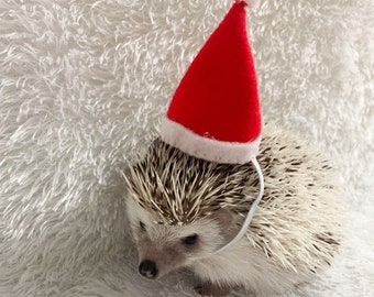 Hedgehog hats Christmas set