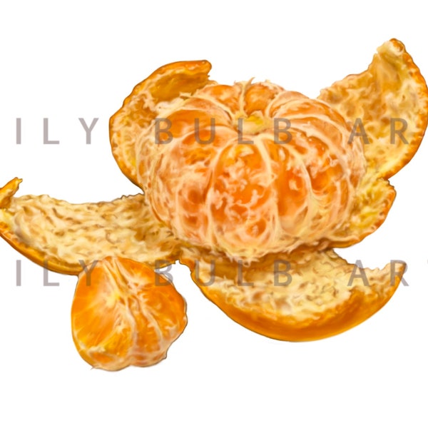 Juicy Orange Fruit Instant Download Clipart, Transparent PNG, High Resolution Realistic Painting, Juicy Fruit Poster Art