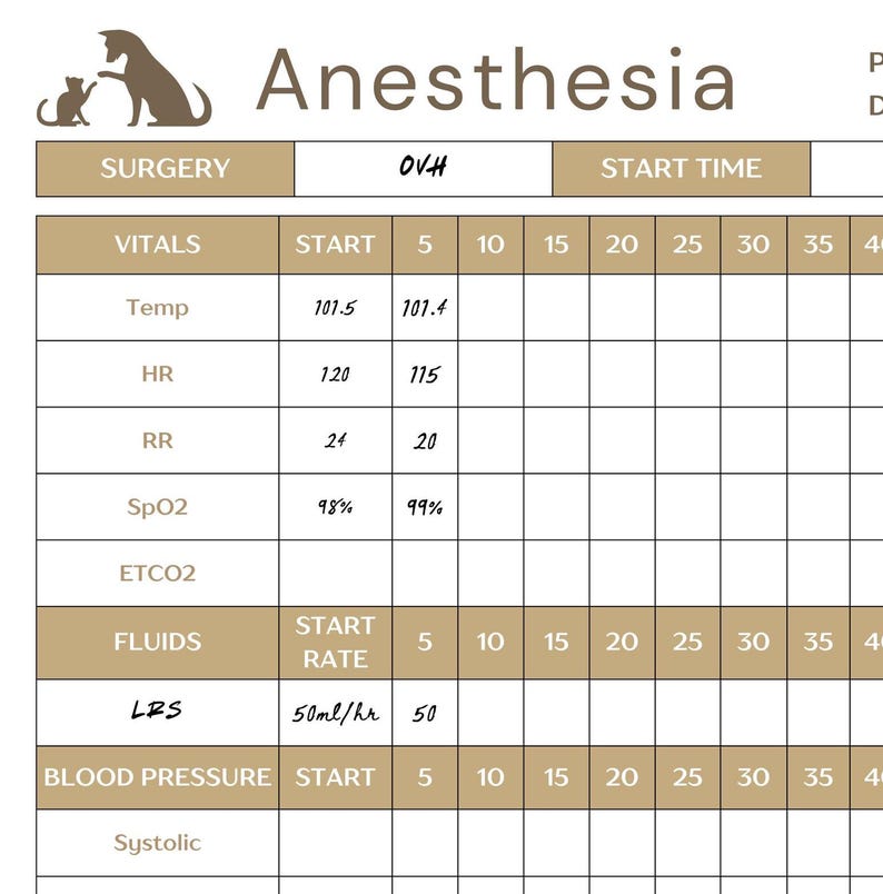 Anesthesia Monitoring Form Veterinary Surgery Records Printable PDF