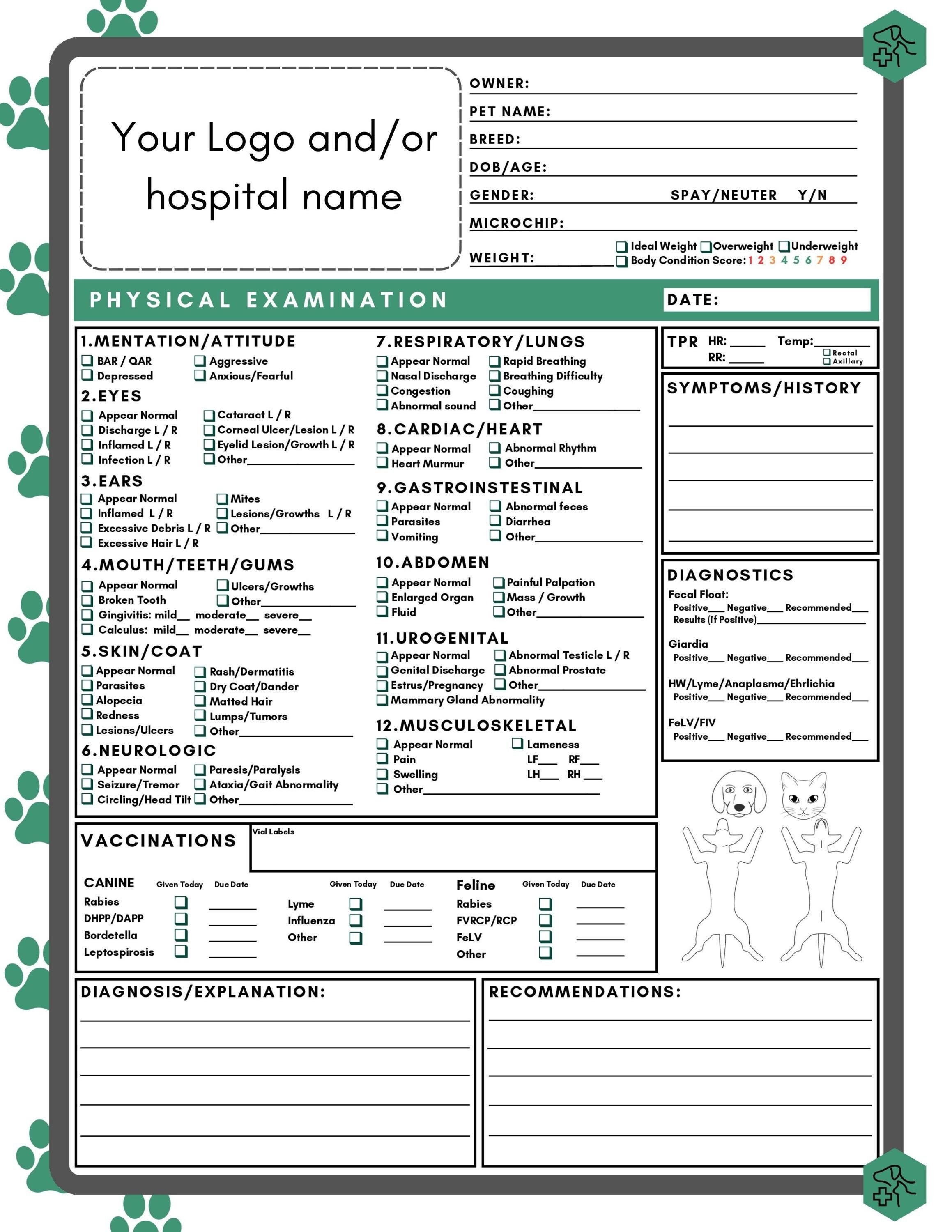 New! Expanded Customizable Physical Exam Form | Veterinary Hospital Blank Printable PDF | Vet Med Clinic Examination | Dog Cat Pet Report