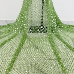 May include: A light green fabric with a grid pattern and scattered sequins. The fabric is draped over a support structure, creating folds and texture. The material appears to be lightweight and suitable for apparel or decorative projects.