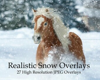 27 Realistic snow overlays, falling snow, blowing show, photoshop overlays, Christmas overlays, winter overlays, photo editing, download