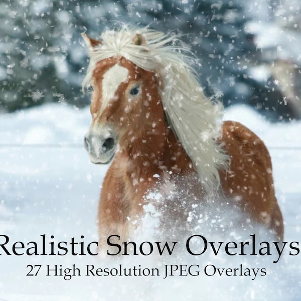 27 Realistic snow overlays, falling snow, blowing show, photoshop overlays, Christmas overlays, winter overlays, photo editing, download