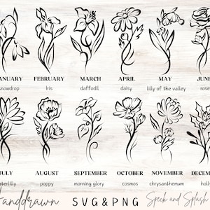 Paquete png de flores del mes de nacimiento, flores de pincelada svg, flores de nacimiento minimalistas png, imágenes prediseñadas de flores del mes de nacimiento, flores de nacimiento svg