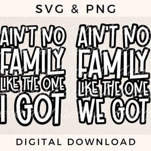 ain't no family like the one i got svg, family reunion SVG files for cricut, family gathering svg family, sublimation design family party