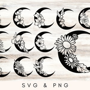 Geburtstagsmonat Blumen SVG, Geburtsblumen PNG, Blumenschnittdateien für Cricut, botanische Blumenmondentwürfe, personalisierte Geschenke svg schneide Dateien