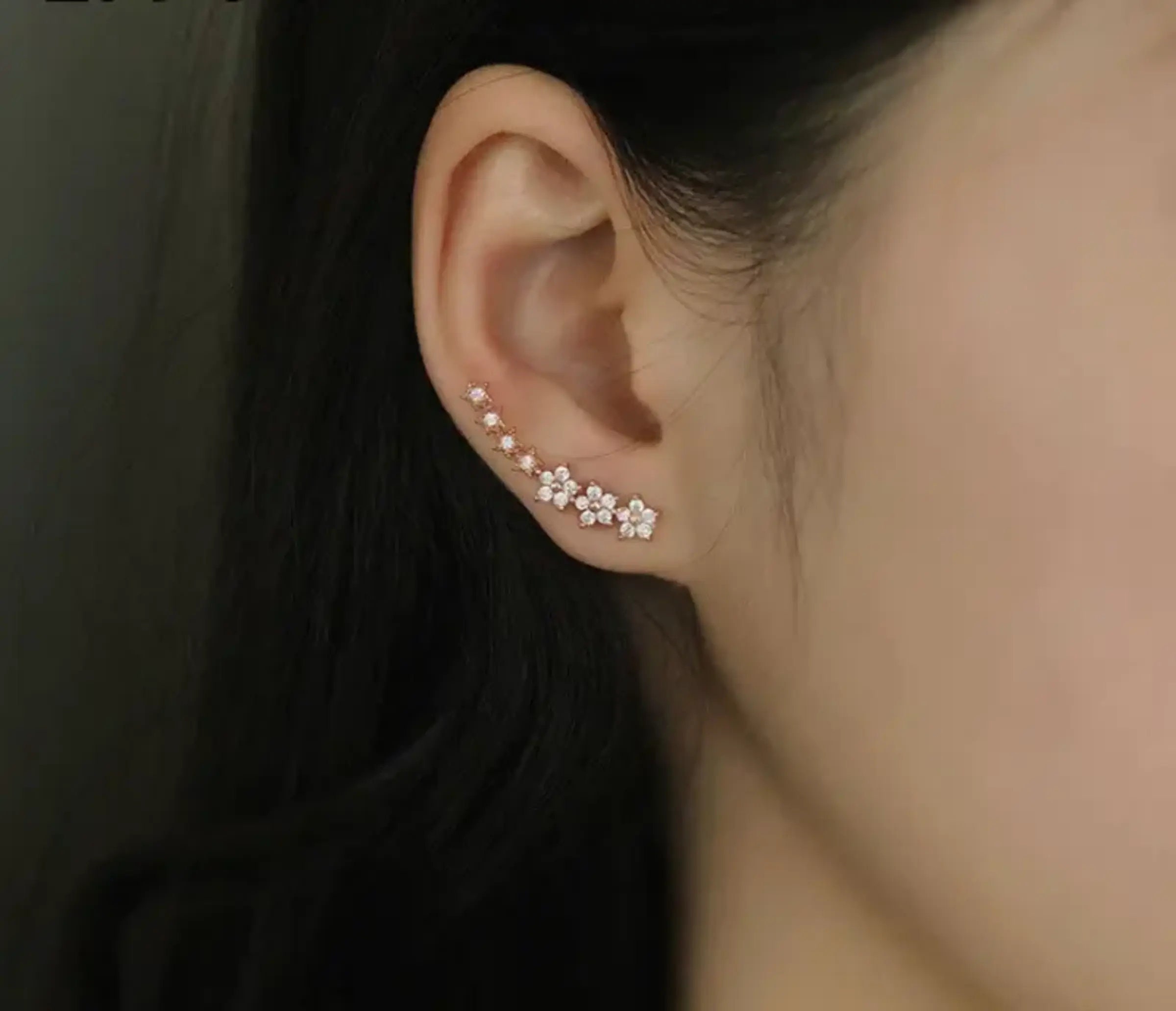 Pin by tabbynbell on Louis Vuitton  Drop earrings, Tassel necklace,  Earrings