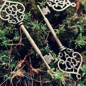 May include: Close-up of antique-style keys with ornate, heart-shaped keyheads. The keys are bronze-coloured and rest on a bed of green moss and brown twigs. The keys have a vintage, romantic aesthetic.