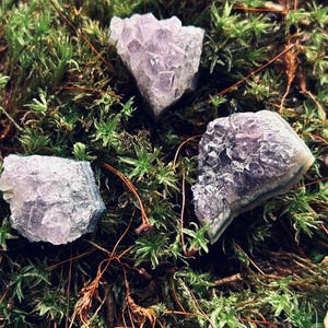 Può includere: Tre cristalli di ametista grezzi poggiano su un letto di muschio verde. I cristalli, di varie dimensioni e forme, mostrano sfumature di viola chiaro. Il muschio crea uno sfondo naturale e terroso, esaltando la bellezza organica dei cristalli. L'immagine è ben illuminata.