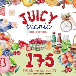 Picnic Fruit Watercolor Clipart  Oranges Watermelon Bicycles Lemonade Flowers Planner Sticker Graphics, Instant Download, Commercial License