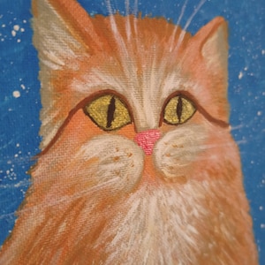 Ginger cat