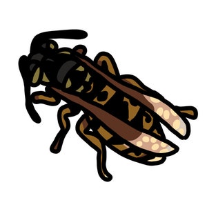 Yellowjacket clipart. Wasp, insect, bug. Digital PNG image file clip art, transparent background. Instant download.