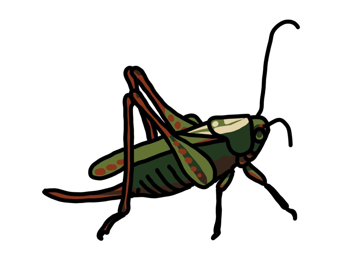 Cricket Clipart. Insect, Bug. Digital PNG Image File Clip Art