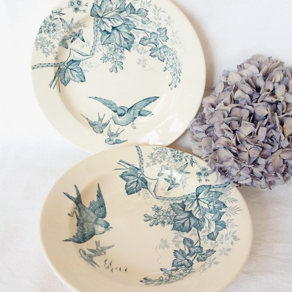 2 assiettes creuses "oiseaux" terre de fer Fin XIXe