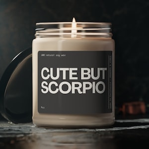 Scorpio gift birthday, zodiac candle, cute but scorpio, scorpio season decor, funny zodiac candle, Zodiac Birthday Gift, Big Scorpio Energy